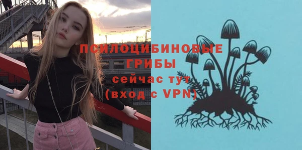 бутират Баксан