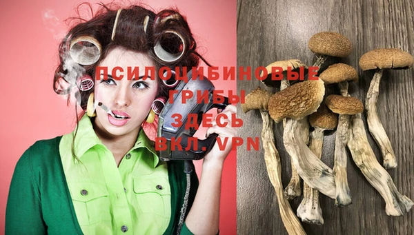 бутират Баксан