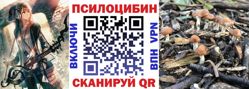 Галлюциногенные грибы Psilocybe дарнет шоп Староминская